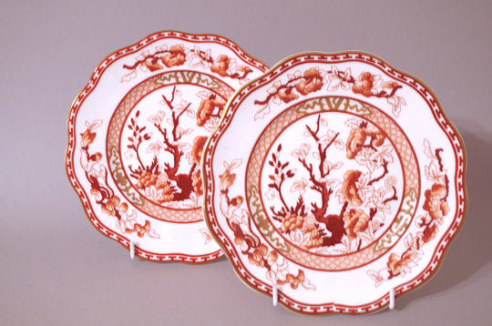 Coalport - Indian Tree - Coral