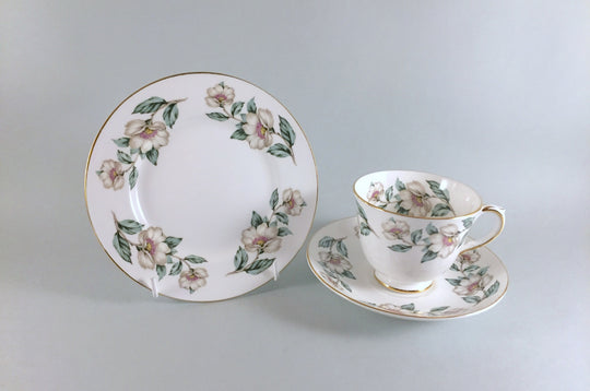 Crown Staffordshire - Christmas Roses
