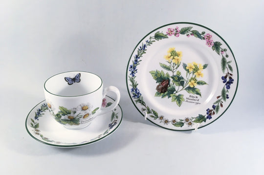 Royal Worcester - Worcester Herbs