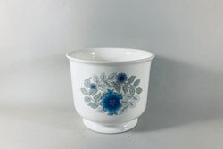Wedgwood - Clementine - Plain Edge - Plant Holder - 5 1/4 x 4 3/8" - The China Village