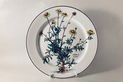Villeroy & Boch - Botanica - Starter Plate - 9 1/2" - The China Village