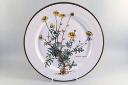Villeroy & Boch - Botanica - Dinner Plate - 10 1/2" - The China Village