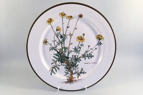 Villeroy & Boch - Botanica - Dinner Plate - 10 1/2" - The China Village